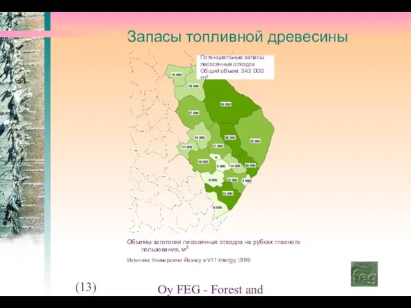 (13) Oy FEG - Forest and Environment Group Ltd. Запасы топливной древесины