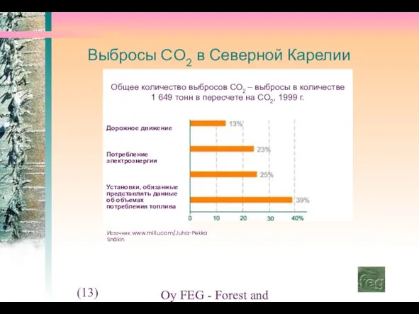 (13) Oy FEG - Forest and Environment Group Ltd. Выбросы CO2 в