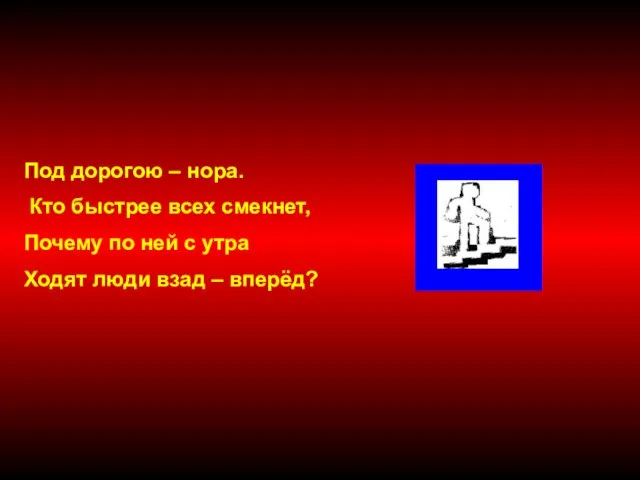 Под дорогою – нора. Кто быстрее всех смекнет, Почему по ней с