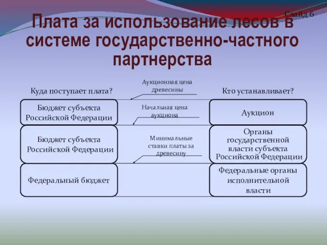 Плата за использование лесов в системе государственно-частного партнерства Слайд 6 Бюджет субъекта