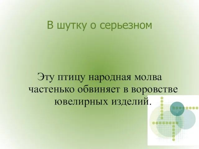 В шутку о серьезном Эту птицу народная молва частенько обвиняет в воровстве ювелирных изделий.