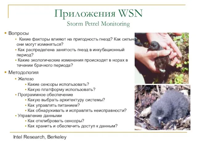 Приложения WSN Storm Petrel Monitoring Вопросы Какие факторы влияют на пригодность гнезд?