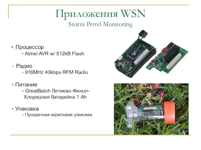 Приложения WSN Storm Petrel Monitoring Процессор Atmel AVR w/ 512kB Flash Радио