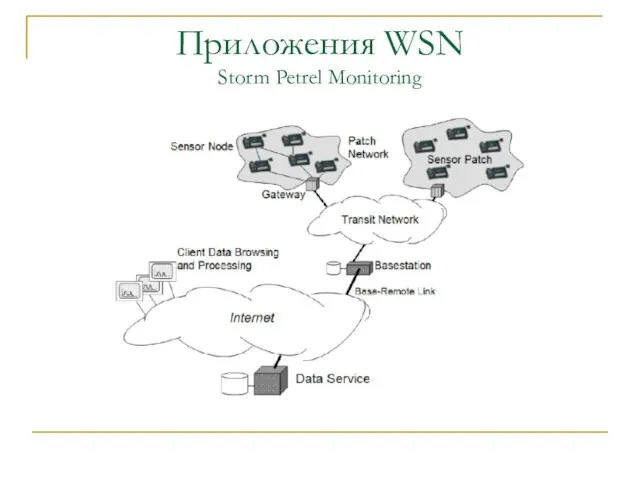 Приложения WSN Storm Petrel Monitoring