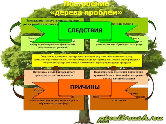 Построение «дерева проблем» ПРИЧИНЫ СЛЕДСТВИЯ