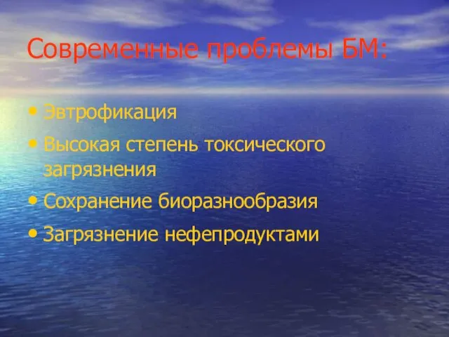 Современные проблемы БМ: Эвтрофикация Высокая степень токсического загрязнения Сохранение биоразнообразия Загрязнение нефепродуктами