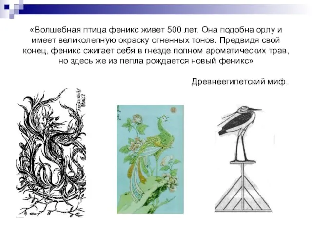 «Волшебная птица феникс живет 500 лет. Она подобна орлу и имеет великолепную