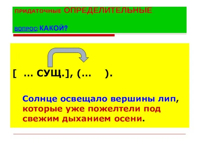 ПРИДАТОЧНЫЕ ОПРЕДЕЛИТЕЛЬНЫЕ ВОПРОС: КАКОЙ? [ … СУЩ.], (… ). Солнце освещало вершины