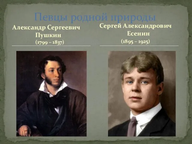 Певцы родной природы Сергей Александрович Есенин (1895 – 1925) Александр Сергеевич Пушкин (1799 – 1837)