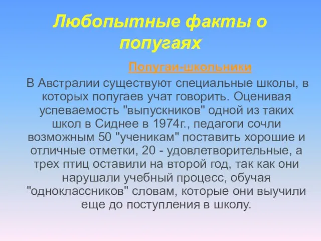 Любопытные факты о попугаях Попугаи-школьники В Австралии существуют специальные школы, в которых