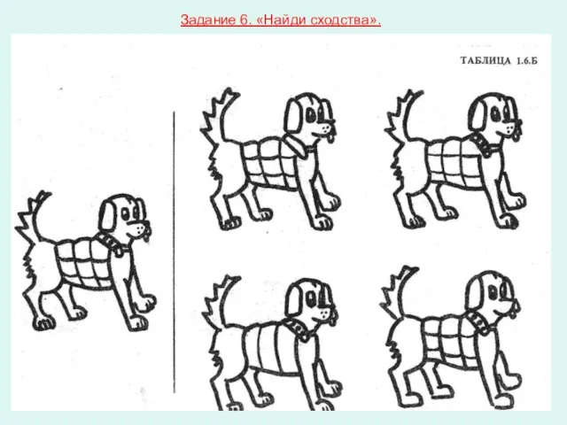 Задание 6. «Найди сходства».