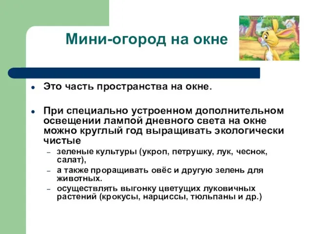 Мини-огород на окне Это часть пространства на окне. При специально устроенном дополнительном