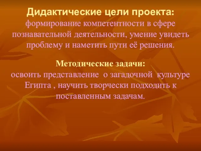 Дидактические цели проекта: формирование компетентности в сфере познавательной деятельности, умение увидеть проблему