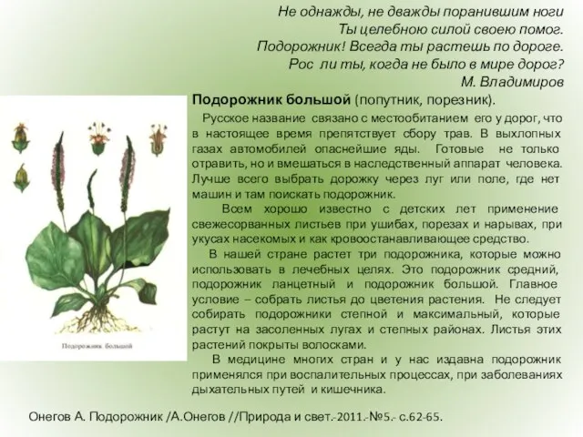 Онегов А. Подорожник /А.Онегов //Природа и свет.-2011.-№5.- с.62-65. Не однажды, не дважды