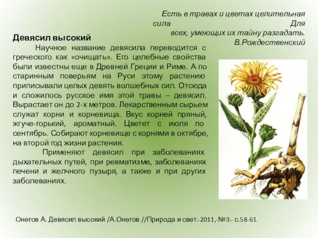 Онегов А. Девясил высокий /А.Онегов //Природа и свет.-2011,-№3.- с.58-61. Есть в травах