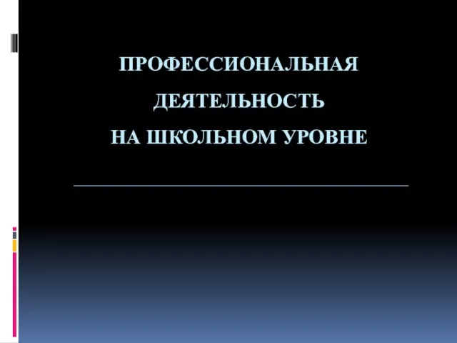 ПРОФЕССИОНАЛЬНАЯ ДЕЯТЕЛЬНОСТЬ НА ШКОЛЬНОМ УРОВНЕ