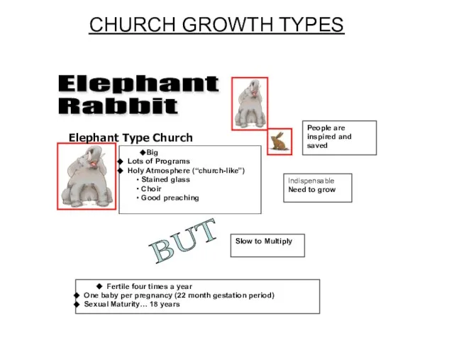 CHURCH GROWTH TYPES Elephant Rabbit Big Lots of Programs Holy Atmosphere (“church-like”)