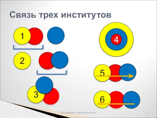 А.Семеркин. www.e-xecutive.ru Связь трех институтов 1 2 3 5 6 4