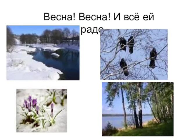 Весна! Весна! И всё ей радо…