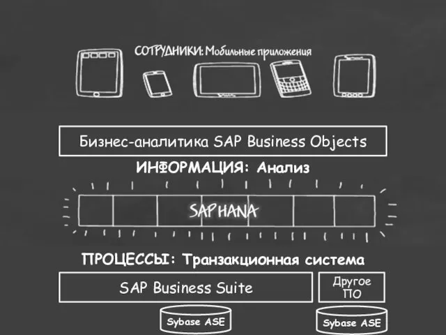 ПРОЦЕССЫ: Транзакционная система Бизнес-аналитика SAP Business Objects ИНФОРМАЦИЯ: Анализ SAP Business Suite