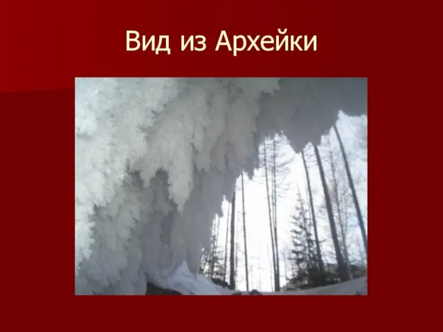 Вид из Архейки