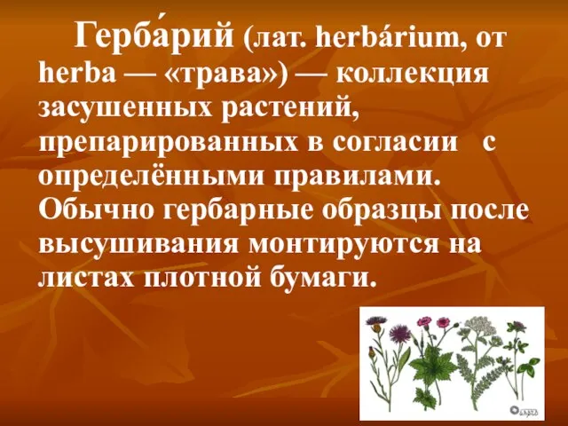 Герба́рий (лат. herbárium, от herba — «трава») — коллекция засушенных растений, препарированных