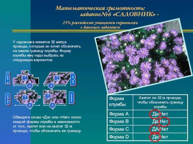 Математическая грамотность: задание№6 «САДОВНИК» - 23% российских учащихся справилось с данным заданием