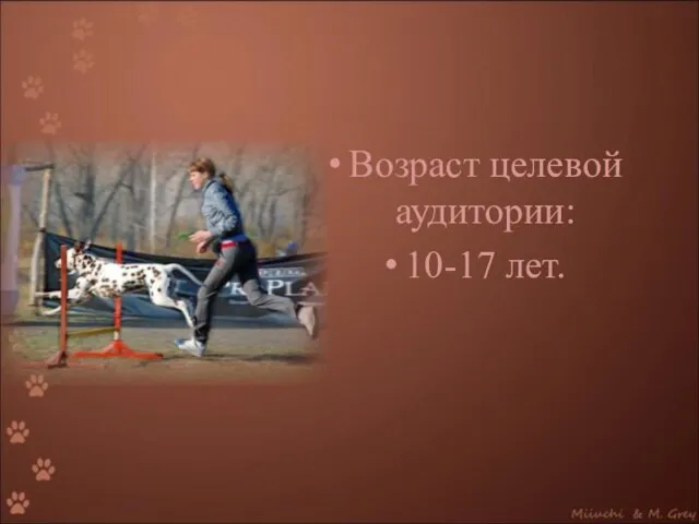 Возраст целевой аудитории: 10-17 лет.