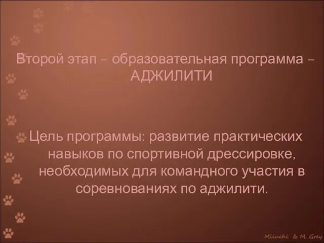 Второй этап – образовательная программа – АДЖИЛИТИ Цель программы: развитие практических навыков