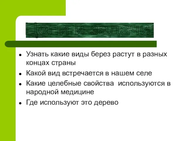 Узнать какие виды берез растут в разных концах страны Какой вид встречается