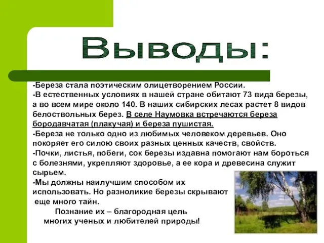 Выводы: -Береза стала поэтическим олицетворением России. -В естественных условиях в нашей стране