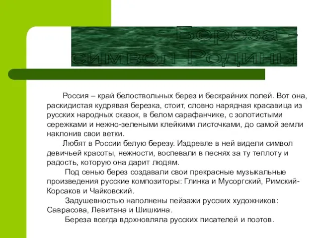 Береза - символ Родины Россия – край белоствольных берез и бескрайних полей.