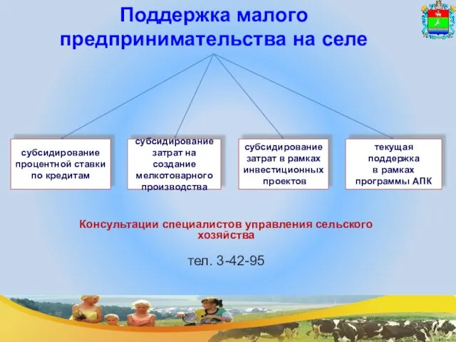 субсидирование процентной ставки по кредитам субсидирование затрат на создание мелкотоварного производства субсидирование