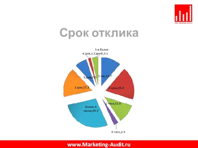 Срок отклика www.Marketing-Audit.ru
