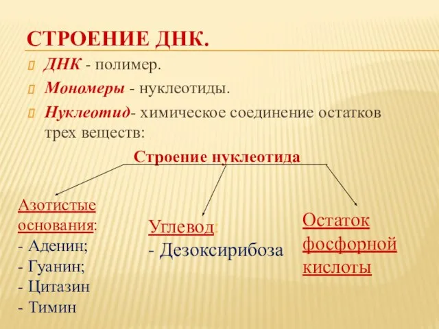 СТРОЕНИЕ ДНК. ДНК - полимер. Мономеры - нуклеотиды. Нуклеотид- химическое соединение остатков