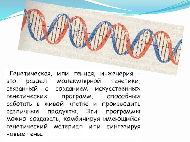 Генетическая, или генная, инженерия - это раздел молекулярной генетики, связанный с созданием