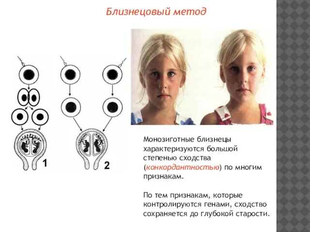 Близнецовый метод Монозиготные близнецы характеризуются большой степенью сходства (конкордантностью) по многим признакам.