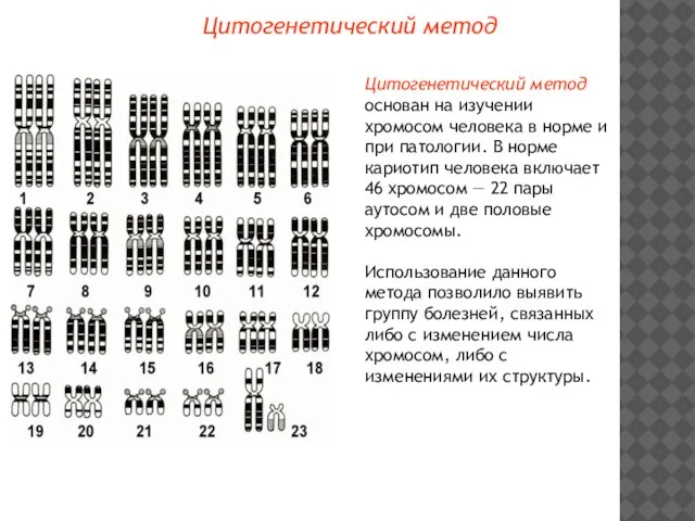 Цитогенетический метод Цитогенетический метод основан на изучении хромосом человека в норме и