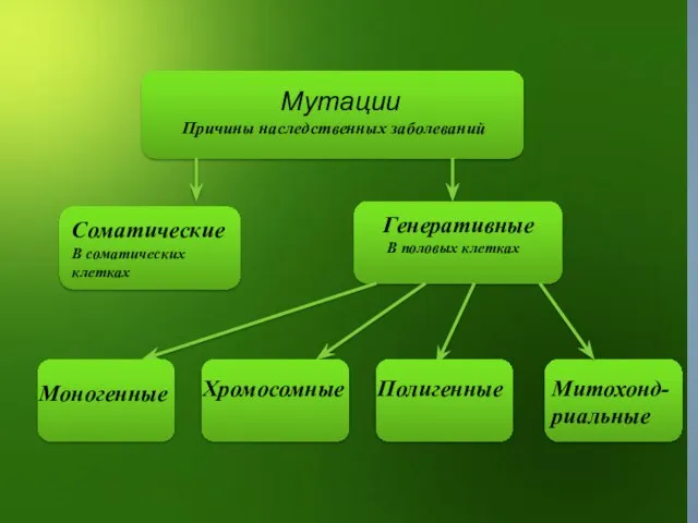 Мутации Причины наследственных заболеваний Соматические В соматических клетках Генеративные В половых клетках Моногенные Хромосомные Полигенные Митохонд-риальные