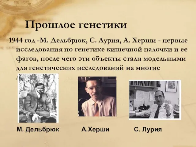 Прошлое генетики 1944 год -М. Дельбрюк, С. Лурия, А. Херши - первые