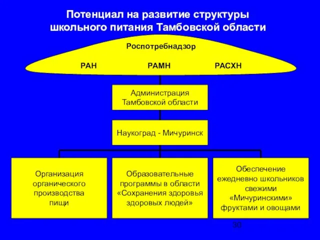 Потенциал на развитие структуры школьного питания Тамбовской области Администрация Тамбовской области Наукоград