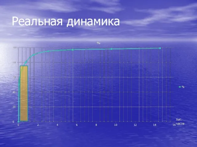 Реальная динамика