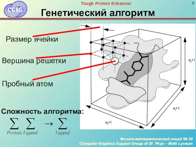 Генетический алгоритм Размер ячейки Вершина решетки Пробный атом Сложность алгоритма: