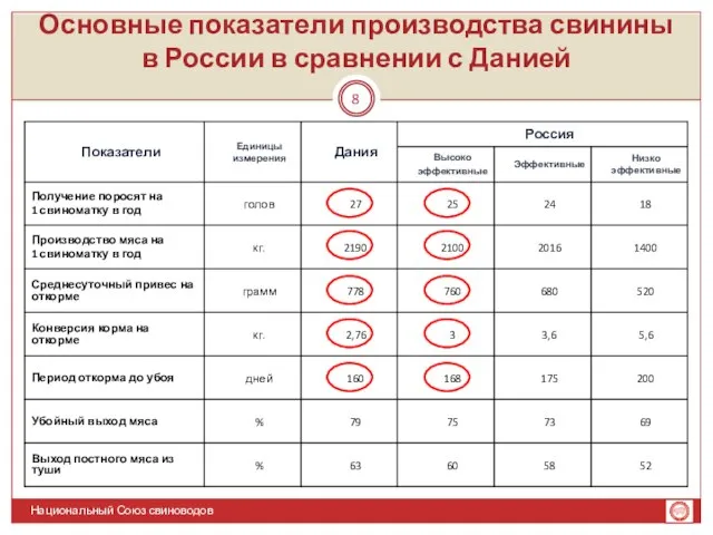 Основные показатели производства свинины в России в сравнении с Данией Национальный Союз свиноводов