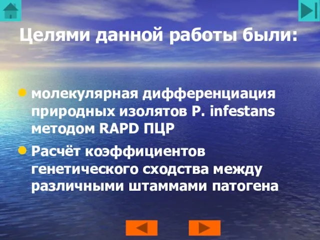 Целями данной работы были: молекулярная дифференциация природных изолятов P. infestans методом RAPD