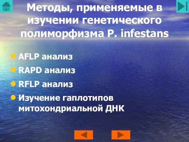 Методы, применяемые в изучении генетического полиморфизма P. infestans AFLP анализ RAPD анализ