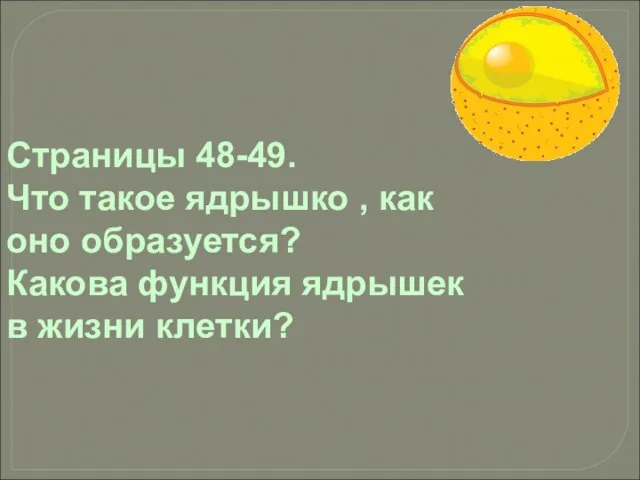 Страницы 48-49. Что такое ядрышко , как оно образуется? Какова функция ядрышек в жизни клетки?