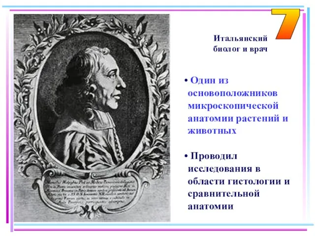 Итальянский биолог и врач Один из основоположников микроскопической анатомии растений и животных