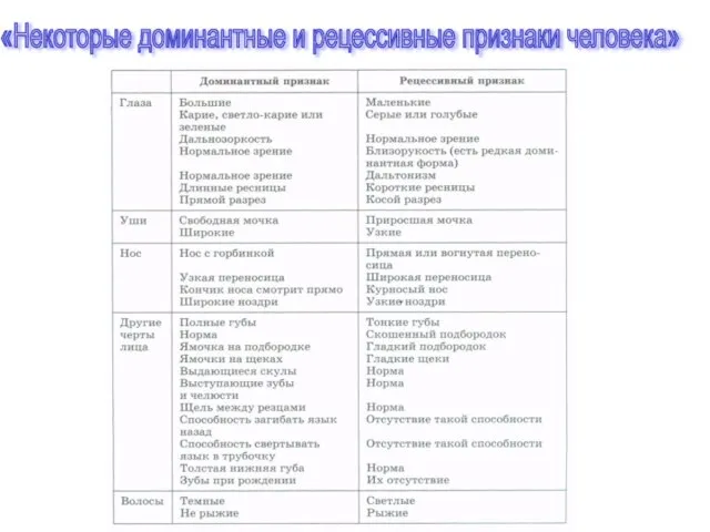 «Некоторые доминантные и рецессивные признаки человека»