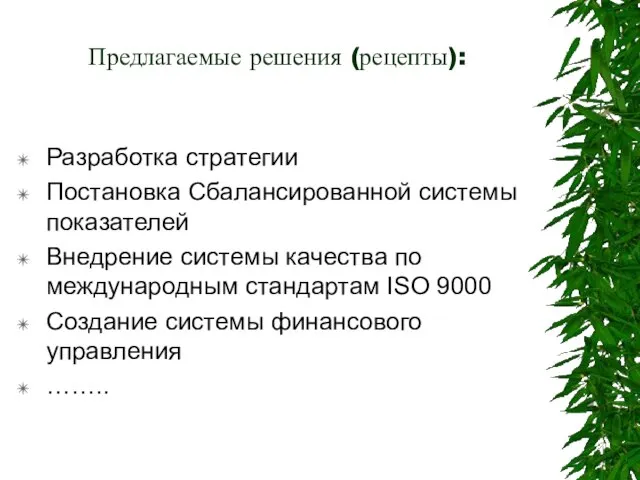 Предлагаемые решения (рецепты): Разработка стратегии Постановка Сбалансированной системы показателей Внедрение системы качества